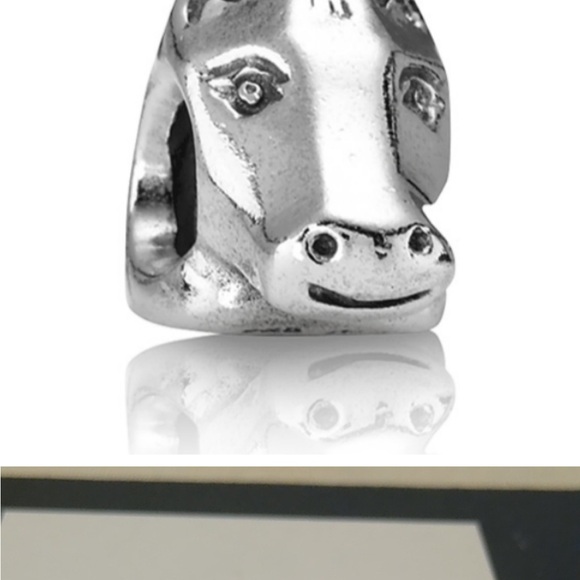 Pandora Original Sterling 925 Bracelet, 7 1/2” and 21 additional Sterling Pieces - Picture 10 of 14